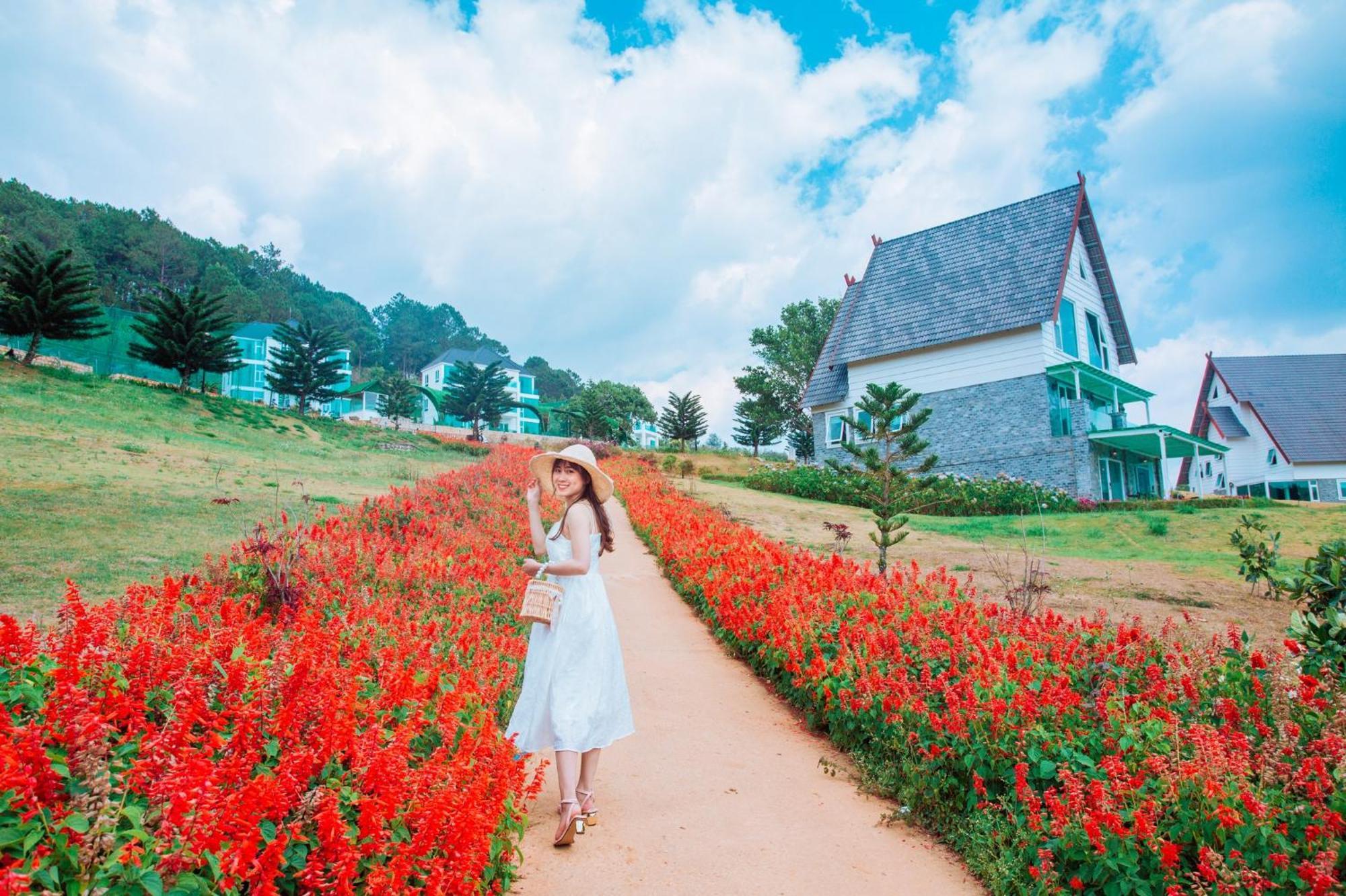 Dalat Wonder Resort Exteriér fotografie